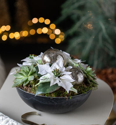 Julegruppe med minijulestjerner hvit Julegruppe med minijulestjerner hvit